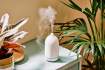 Effective Strategies for Managing Sinus Infections and Allergies